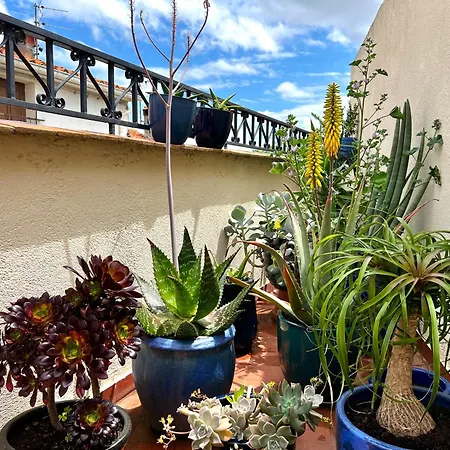 Séjour chez l'habitant Maison Familiale *
